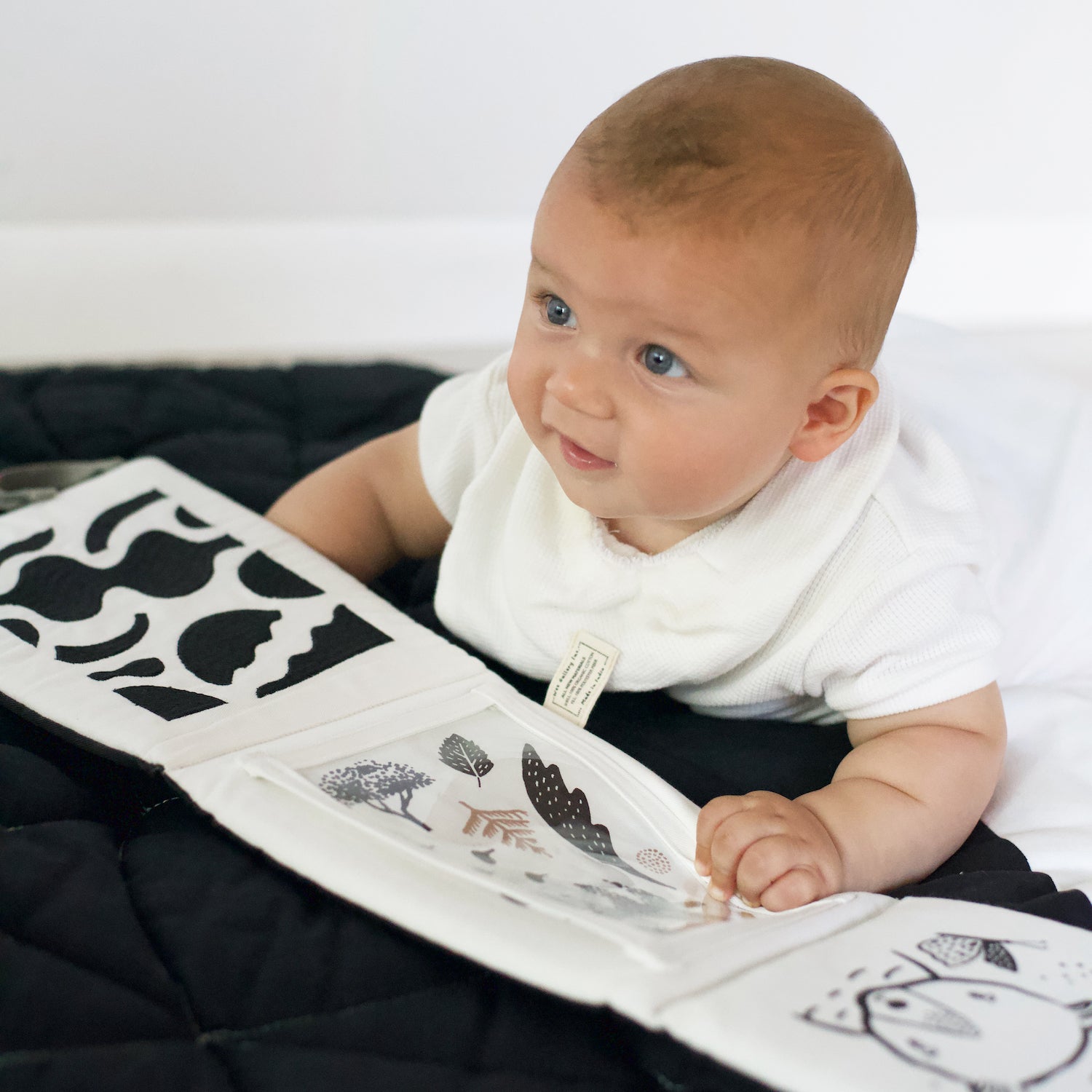 Why Try Tummy Time? Tips + Tricks Wee Gallery