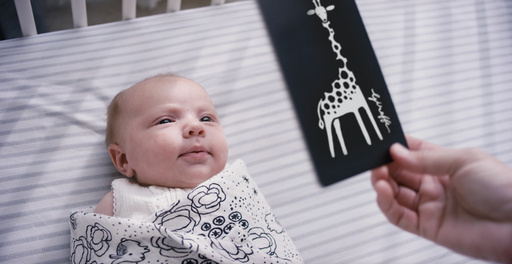 Video frame shows a hand off screen holding a black and white giraffe card and a swaddled baby in the crib is gazing at it and smiling.