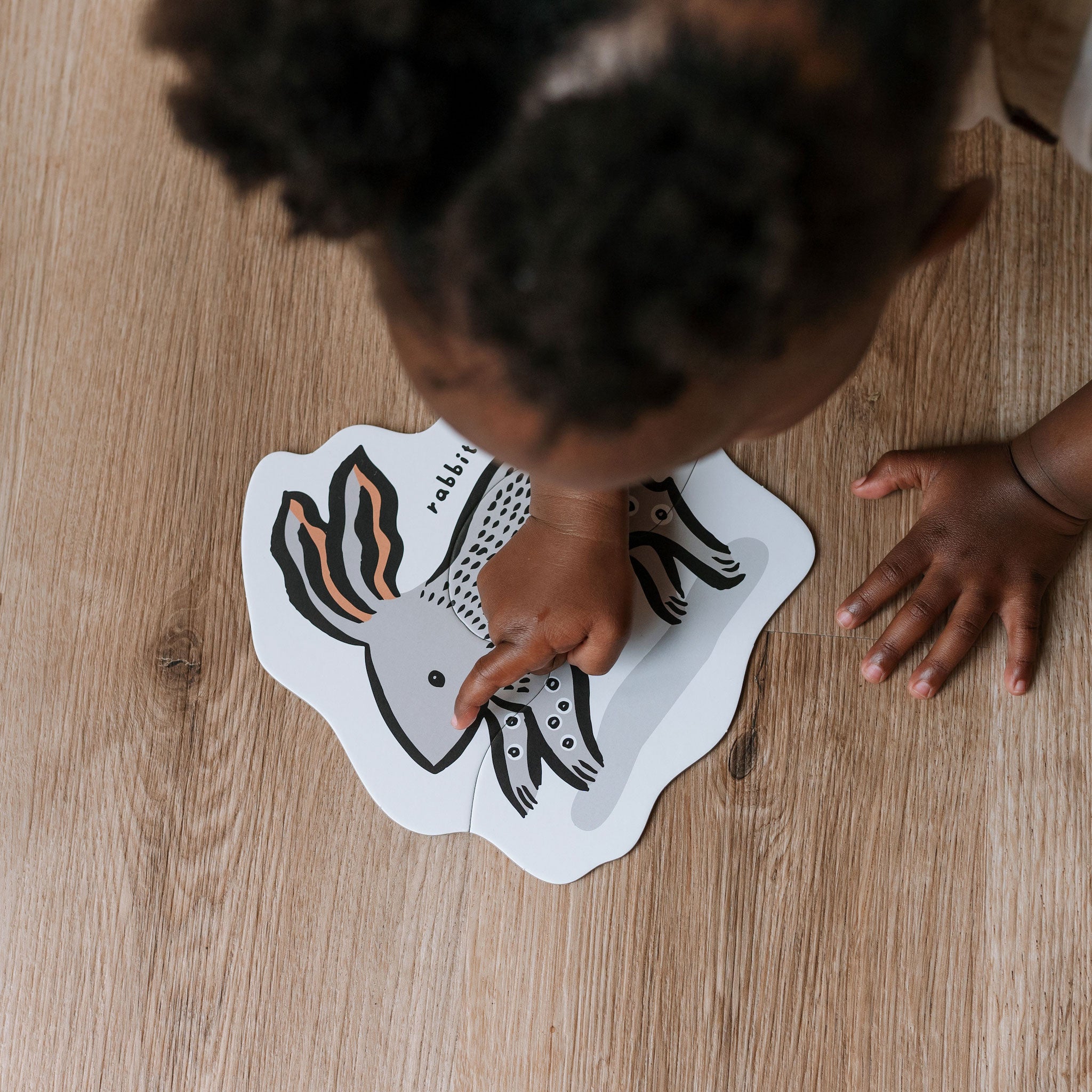 Beginner Puzzle Set Pets - Activities Toddlers and Preschool Kids