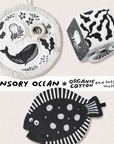 Sensory Bundle for Baby - Ocean Wee Gallery