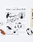 What's Cool About Birds activity sheet Freebies Wee Gallery