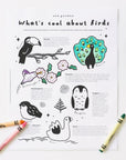 What's Cool About Birds activity sheet Freebies Wee Gallery