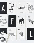 Jungle Alphabet Cards Learning Cards Leo Paper