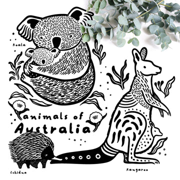Animals of Australia  Wee Gallery | Smart Art for Growing Minds | Modern Gifts & Decor   