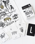 Jungle Alphabet Cards Learning Cards Leo Paper