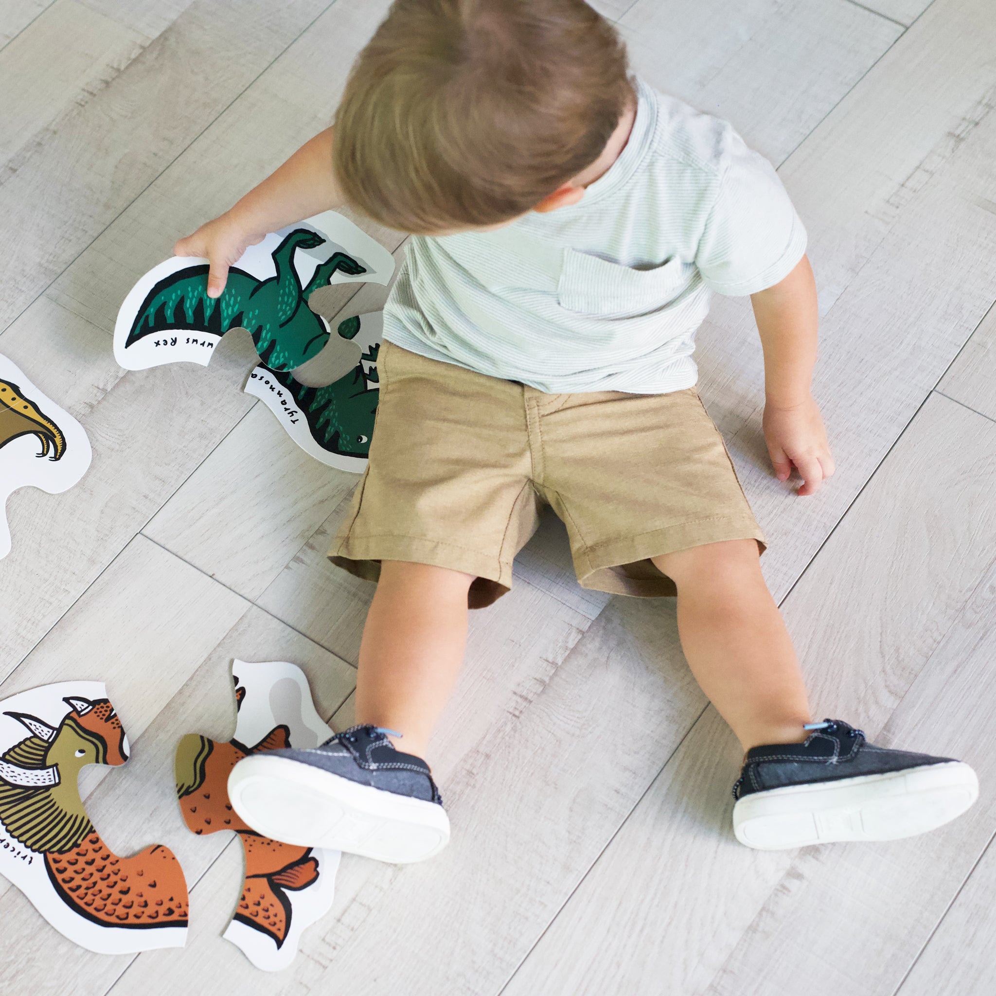 http://weegallery.com/cdn/shop/products/early-child-development-puzzles-for-toddler-STEM-dinosaurs-1.jpg?v=1651772736