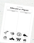 Hibernation - Four Free Activity Pages for Kids Freebies Wee Gallery