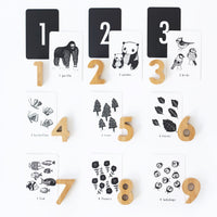 Nature Number Cards Learning Cards Leo Paper   