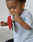 Crinkle Teether - Butterfly Baby & Toddler Alaska