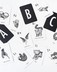 Jungle Alphabet Cards Learning Cards Leo Paper