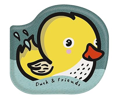 Duck and Friends Bath Book Books Hachette