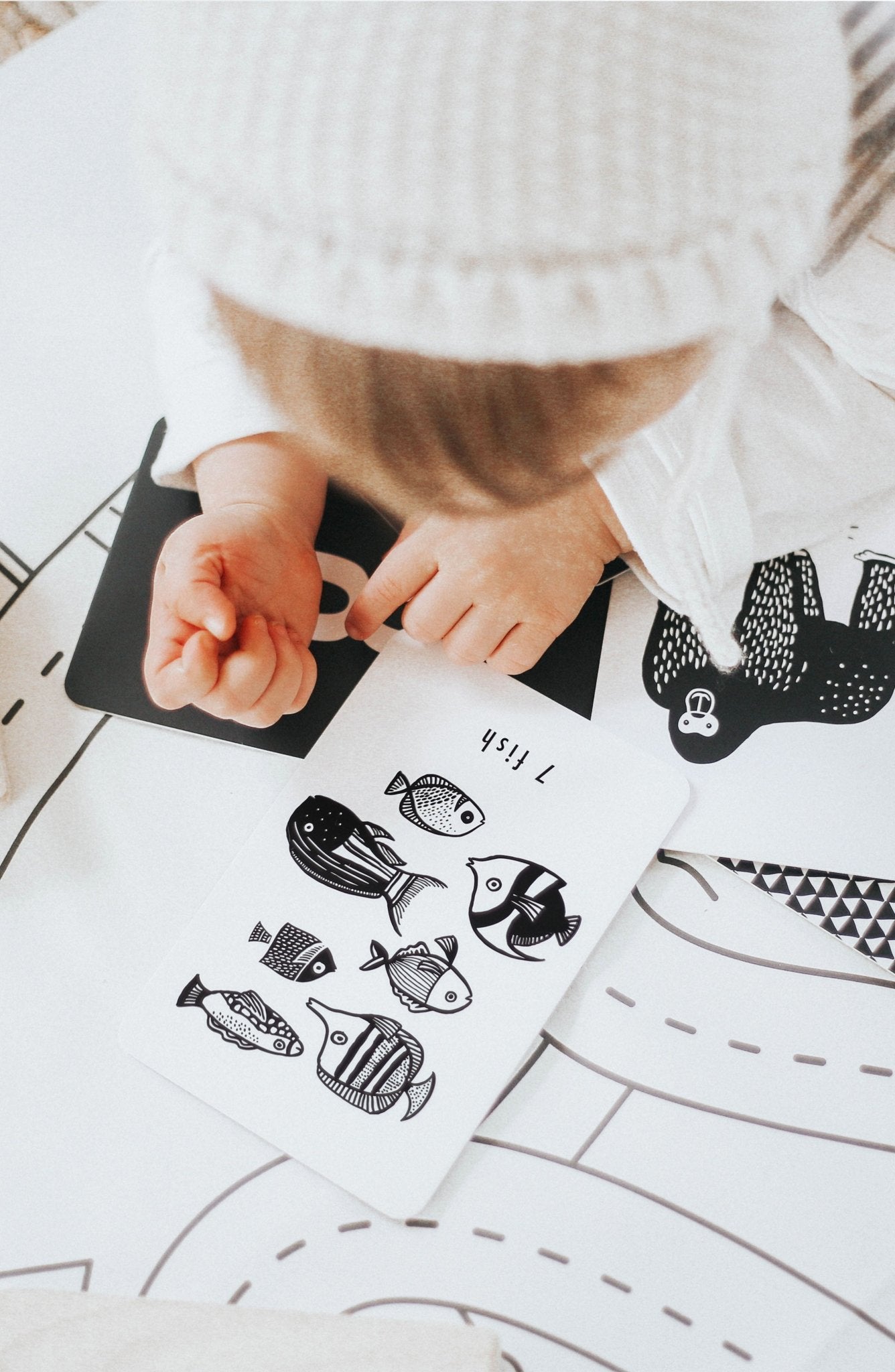 Count &amp; Remember Bundle Wee Gallery