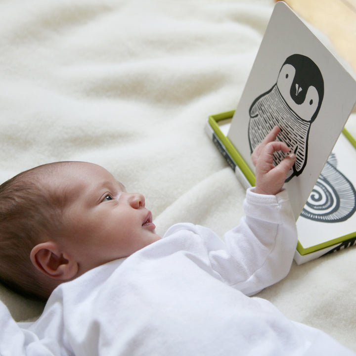 Newborn Baby gazing at black and white art cards by wee gallery.