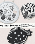 Sensory Bundle for Baby Wee Gallery