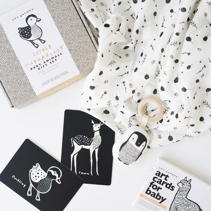 Little Naturalist gift set with box, baby animals art cards, penguin teether, and seedling swaddle.