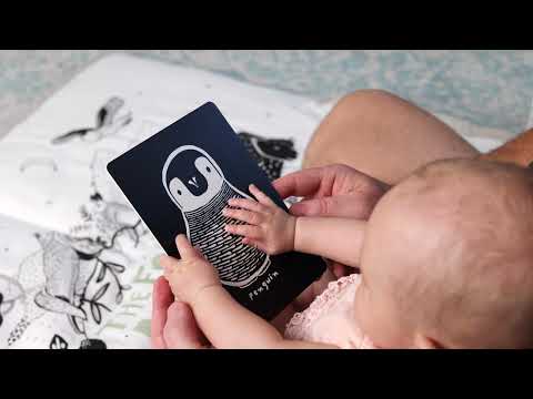 Kunstkarten für Babys – Regenwald-Kollektion