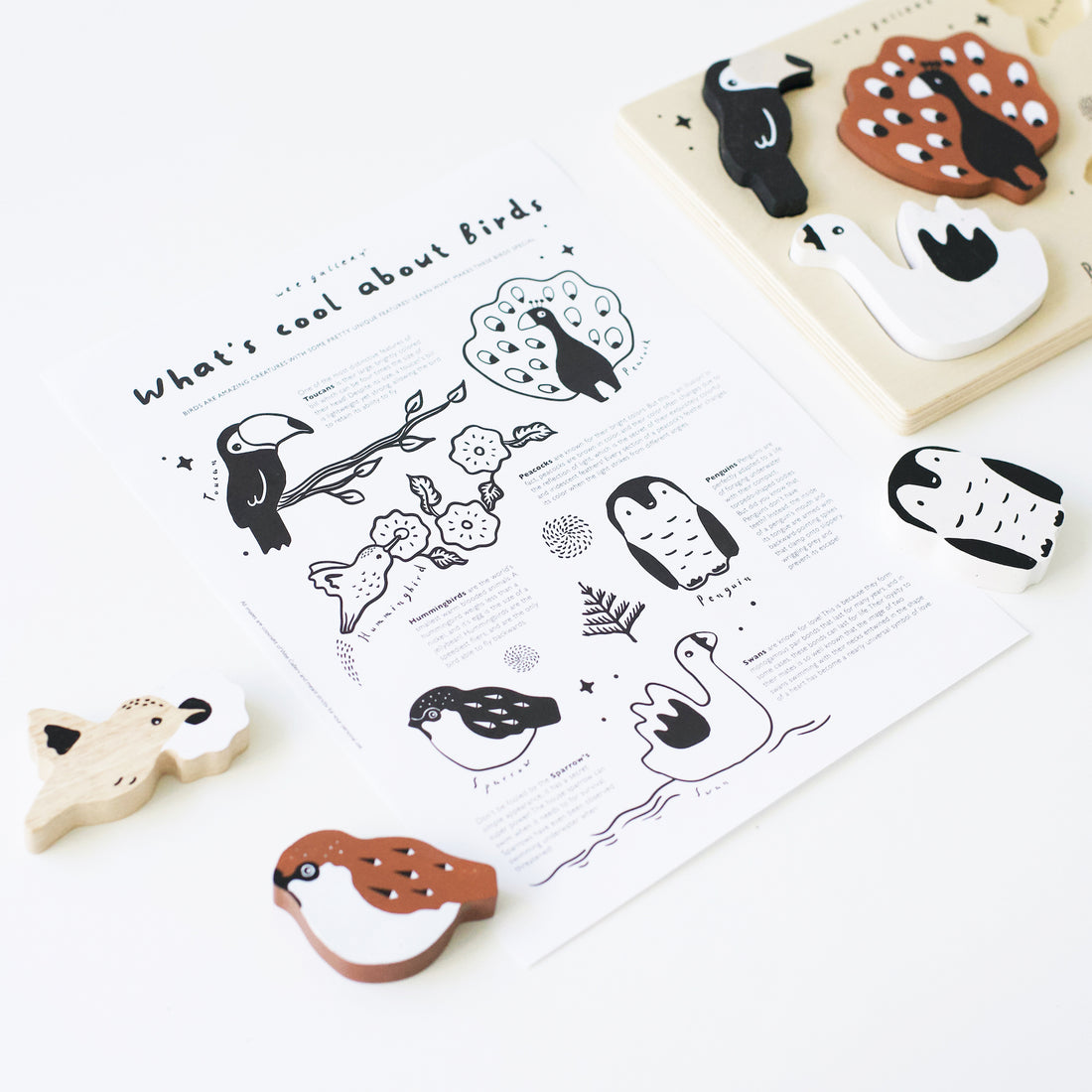 What's Cool About Birds activity sheet Freebies Wee Gallery   