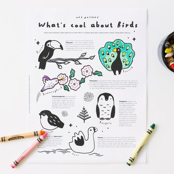 What's Cool About Birds activity sheet Freebies Wee Gallery   