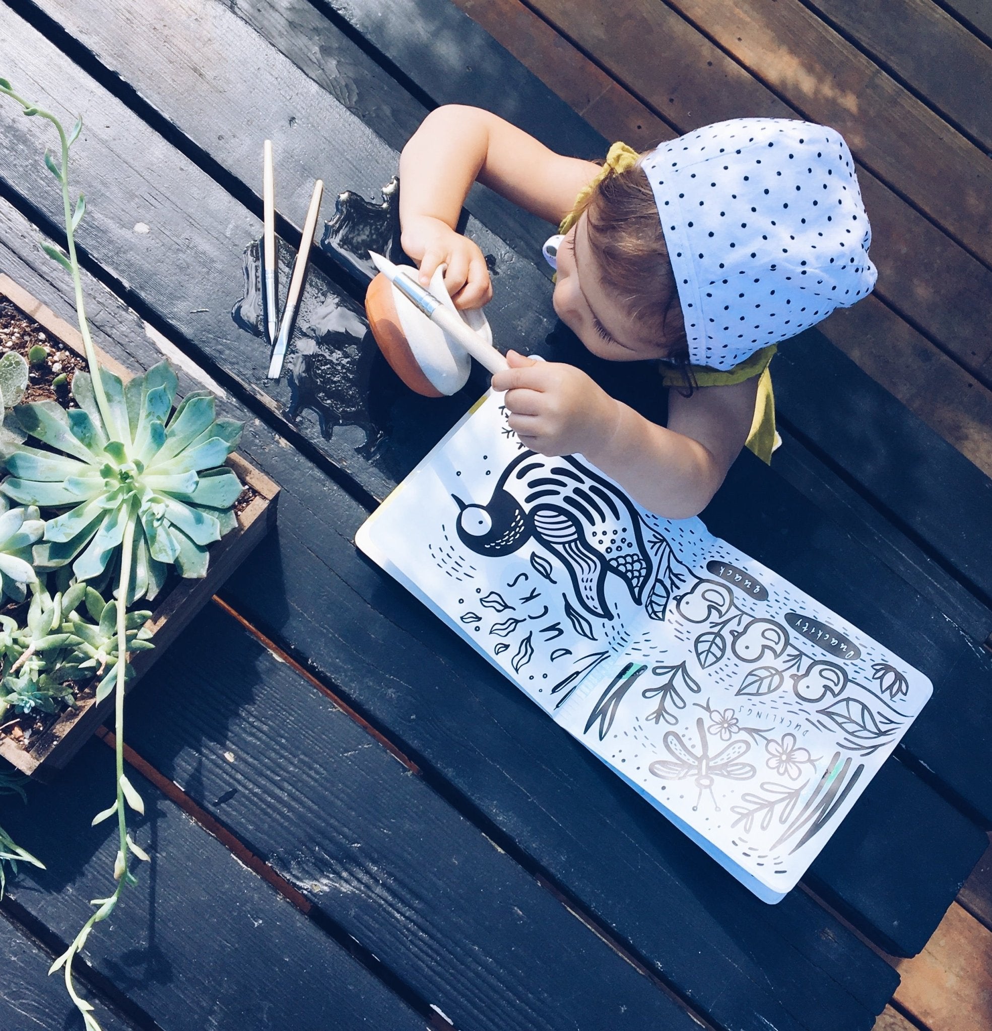 Color Me: Who's in the Pond? Bath Book Books Hachette   