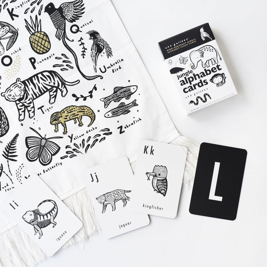 Jungle Alphabet Cards Learning Cards Leo Paper   
