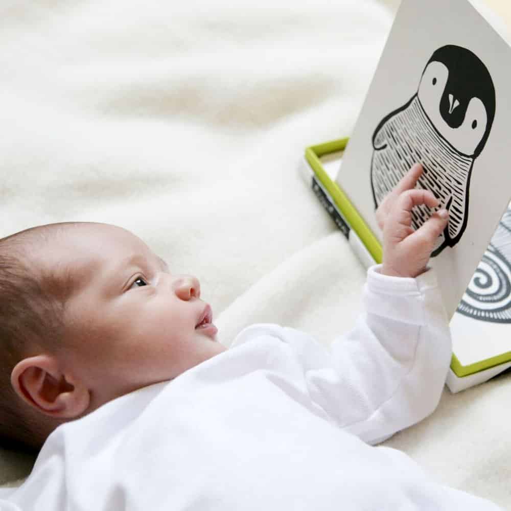 Stimulating high contrast paintings for baby - Lansdowne Life