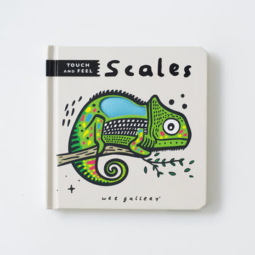 Wee Gallery Touch and Feel: Scales Books Hachette   