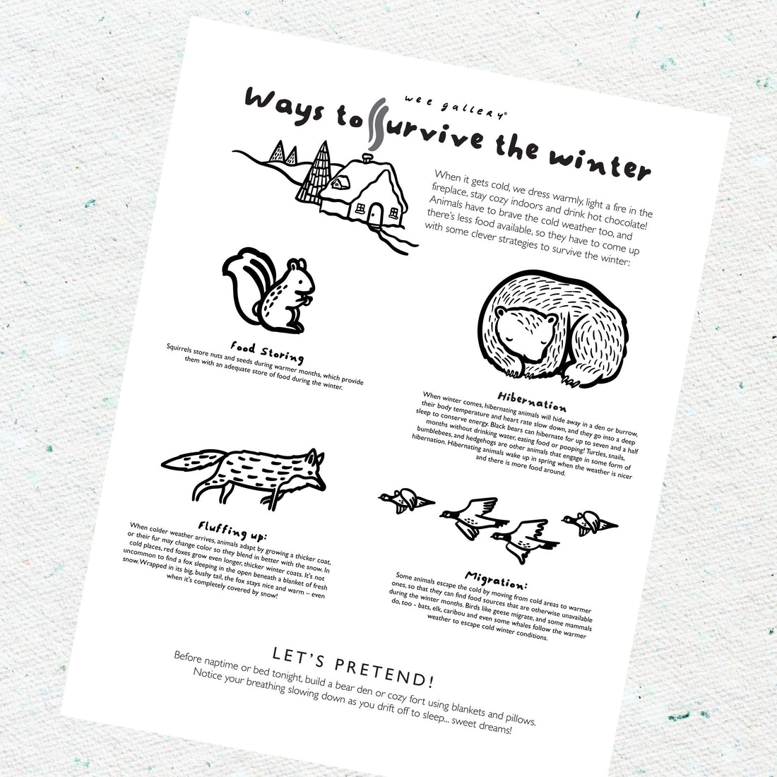 Hibernation - Four Free Activity Pages for Kids Freebies Wee Gallery   