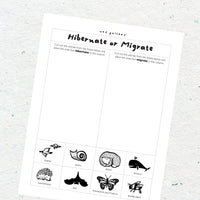 Hibernation - Four Free Activity Pages for Kids Freebies Wee Gallery   