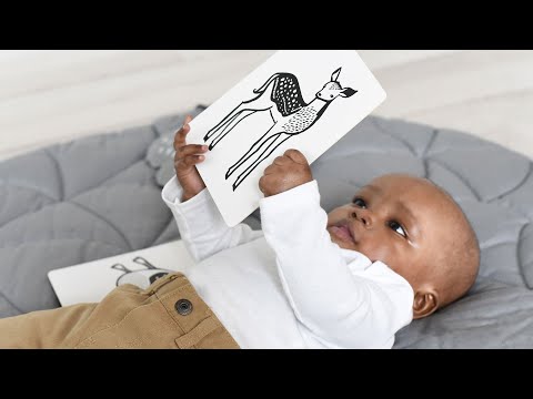 Kunstkarten für Babys – Sammlung Haustiere