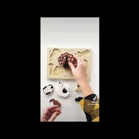 Wooden Tray Puzzle - Bugs