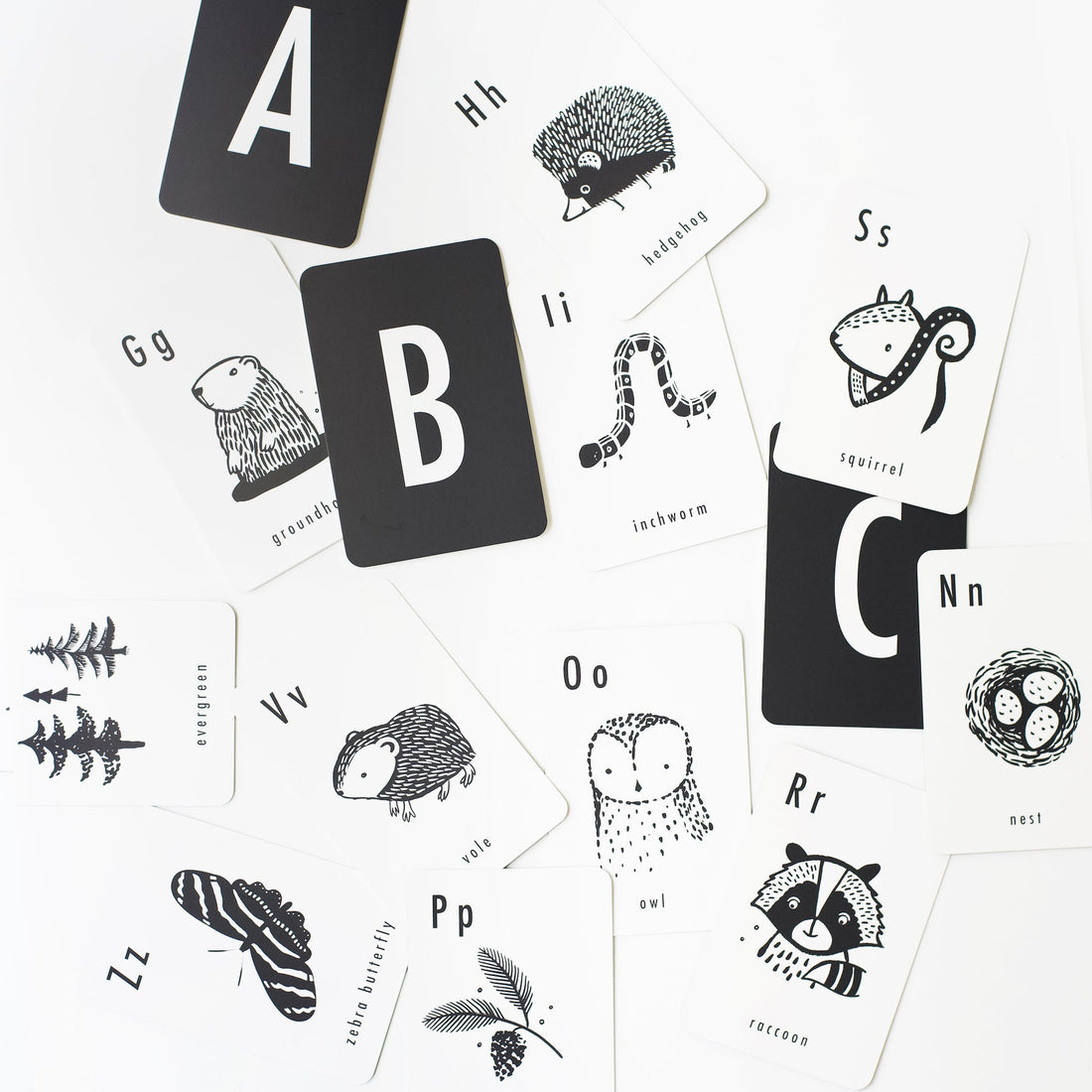 Woodland Alphabet Cards Learning Cards Leo Paper   