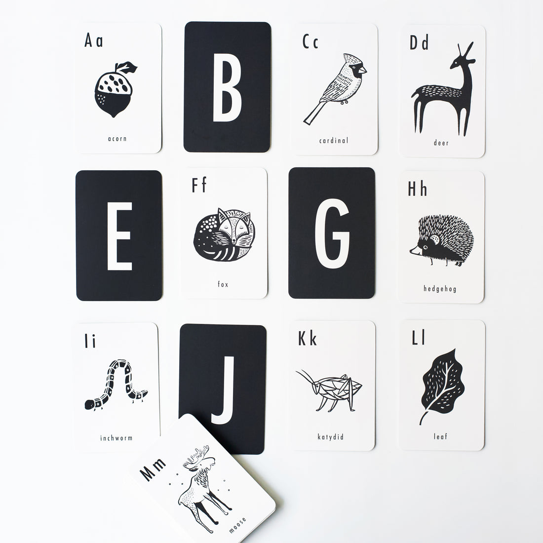 Woodland Alphabet Cards Learning Cards Leo Paper   